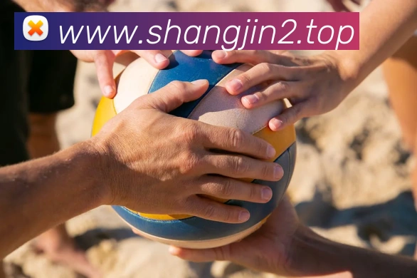 欧帝体育体育官网登录平台生态图