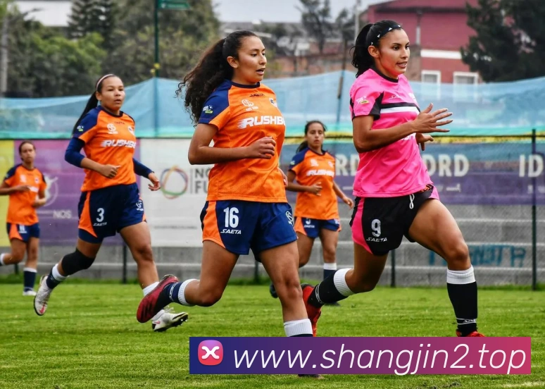 欧帝体育体育官网登录APP 封面图